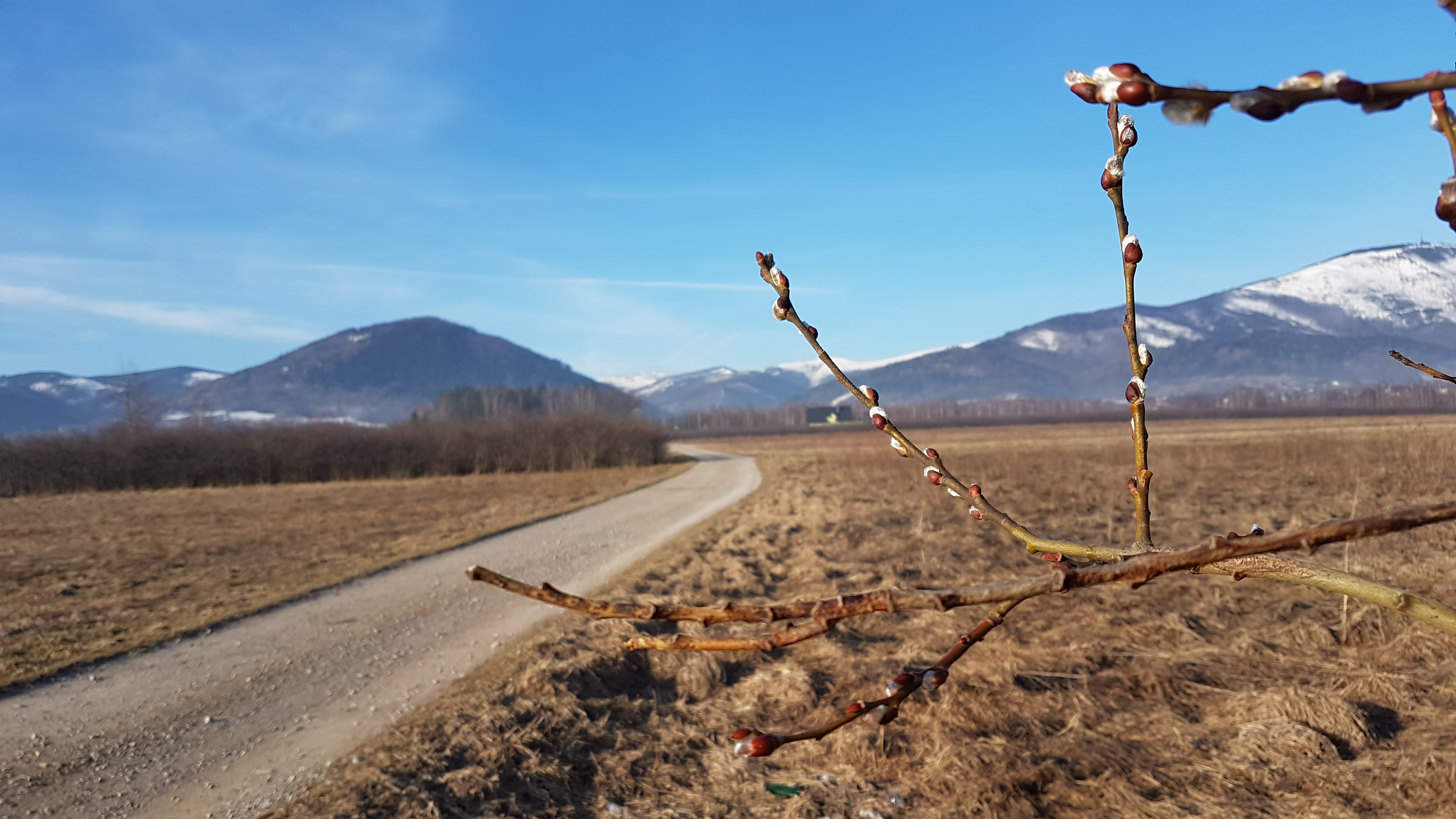 Lipowa, w oddali po prawej szczyt Skrzycznego, Beskid Śląski