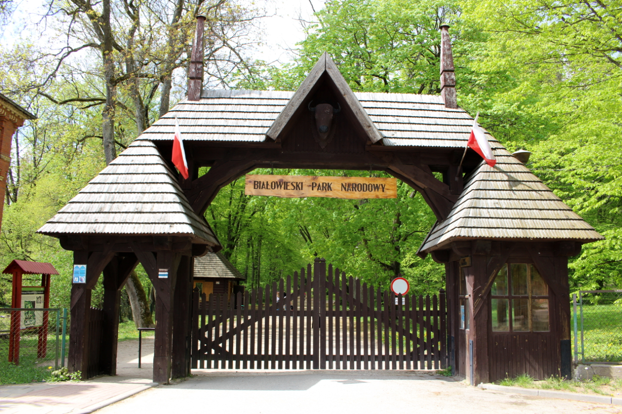 Białowieski Park Narodowy