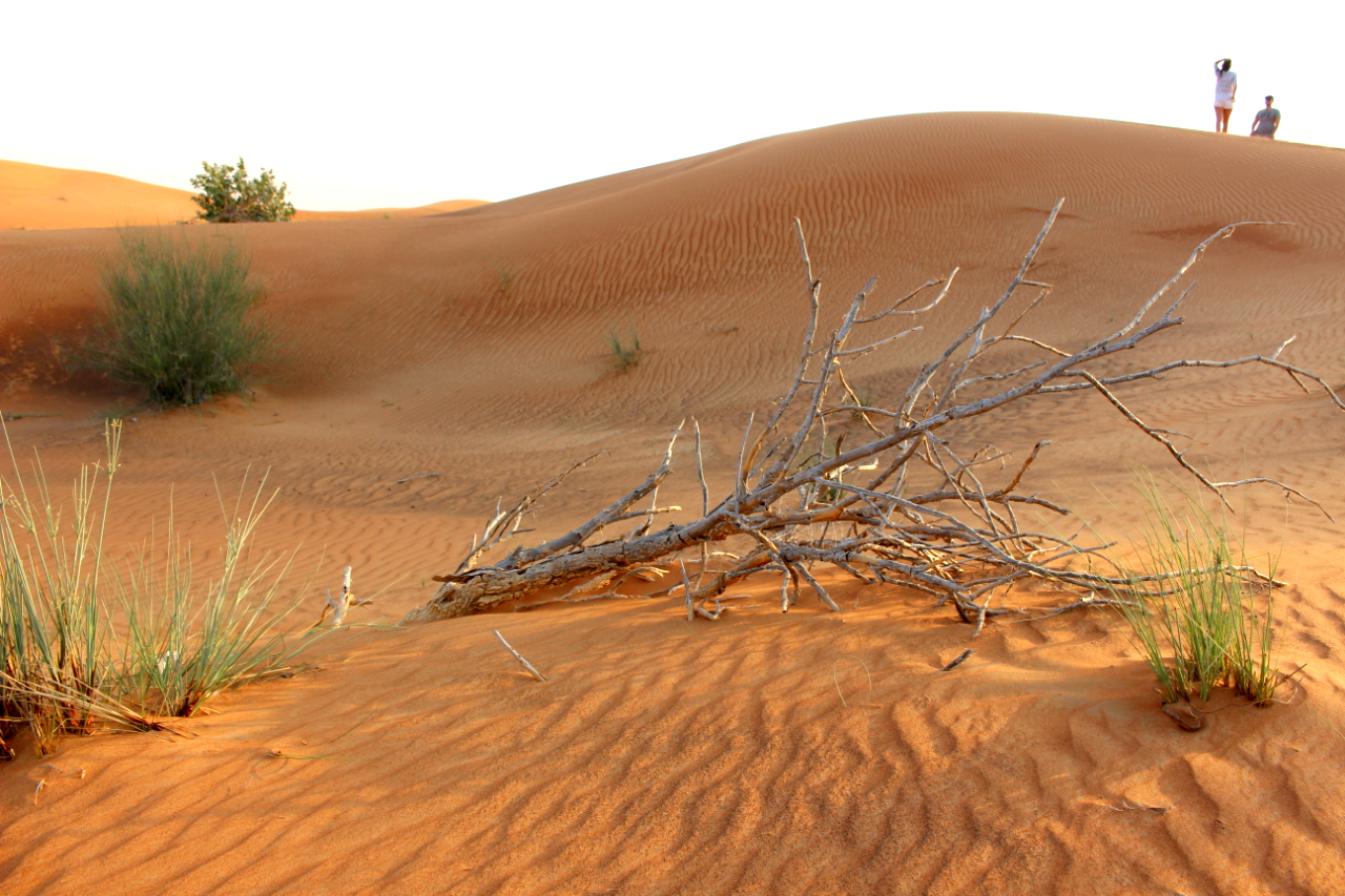 DUBAI SAFARI – RAJD PO PUSTYNII