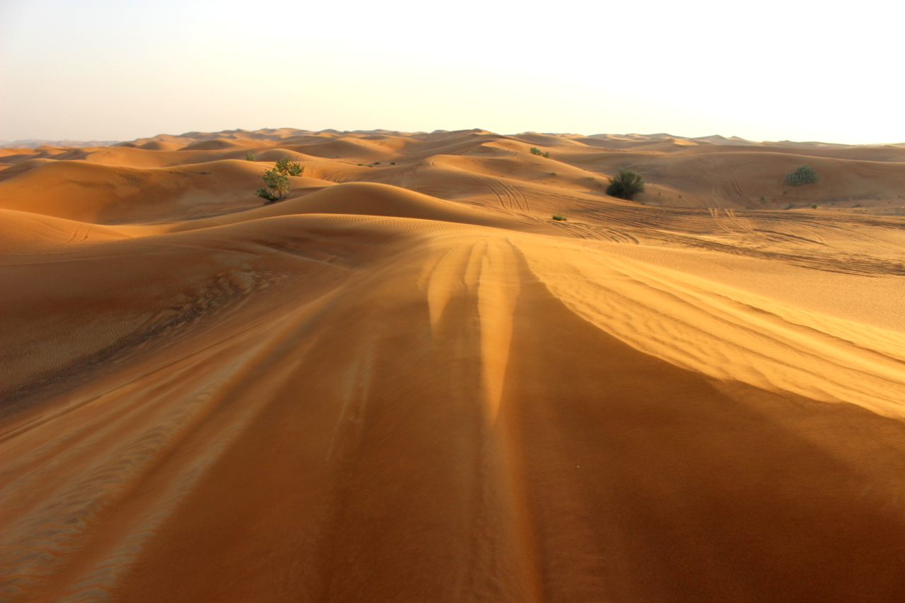 Dla mnie ogromnym plusem DUBAI SAFARI były widoki.