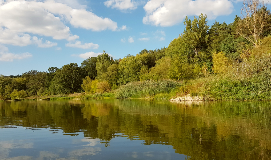 Niesamowita przyroda w okolicy Warty