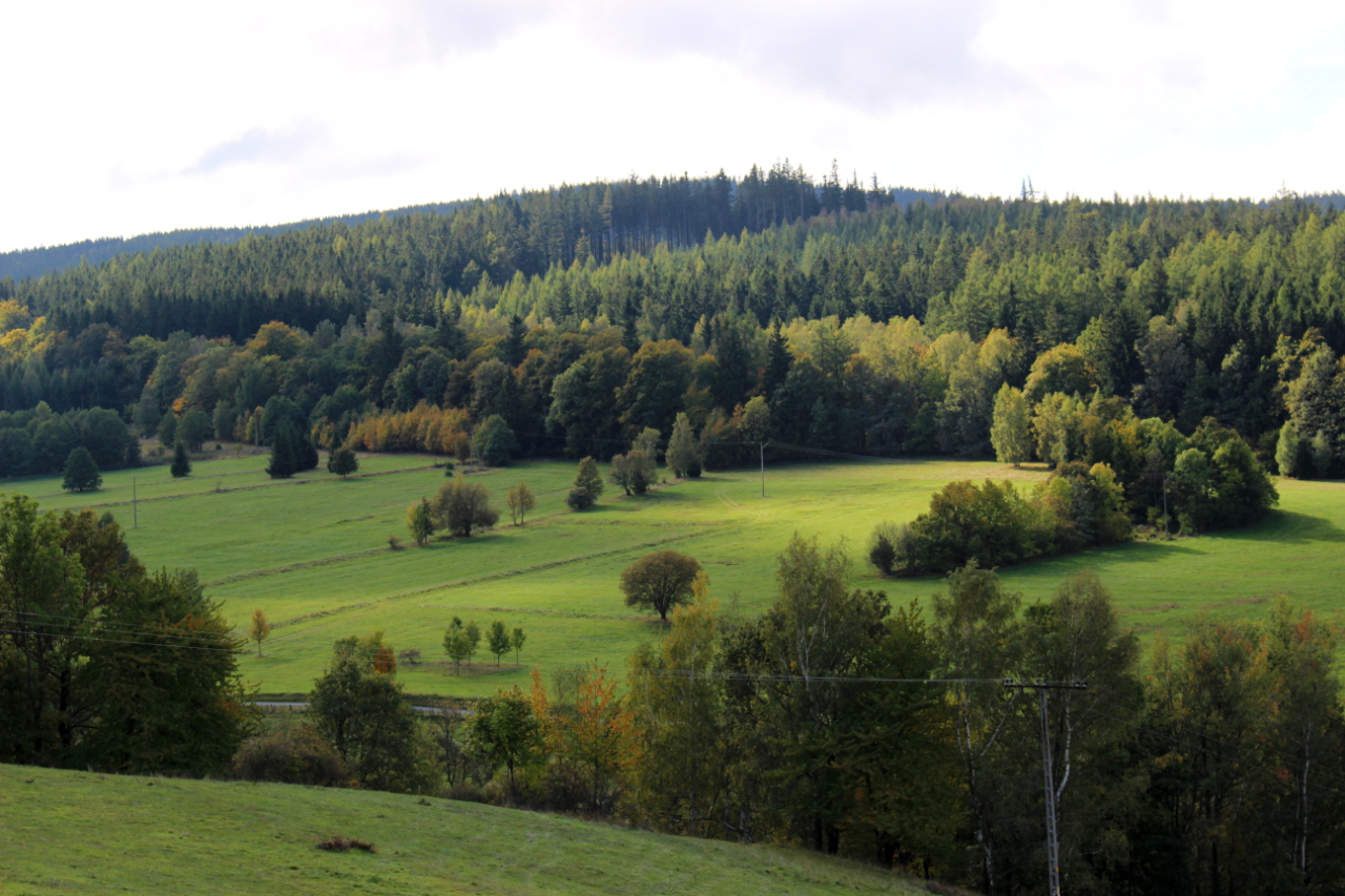 Widok na Rudawski Park Krajobrazowy