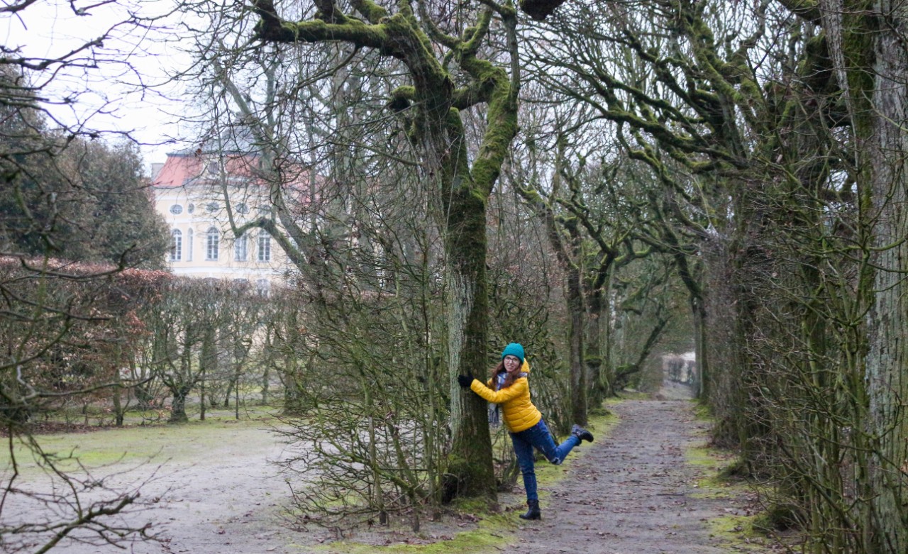 Widok od strony ogrodu francuskiego